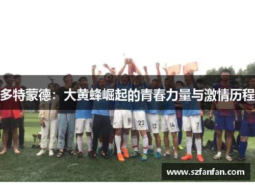 多特蒙德：大黄蜂崛起的青春力量与激情历程